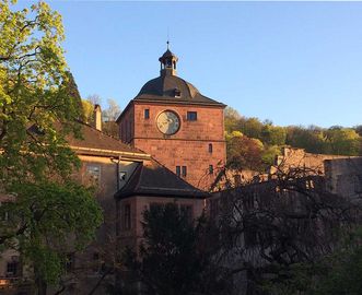 Heidelberg Palace in the evening