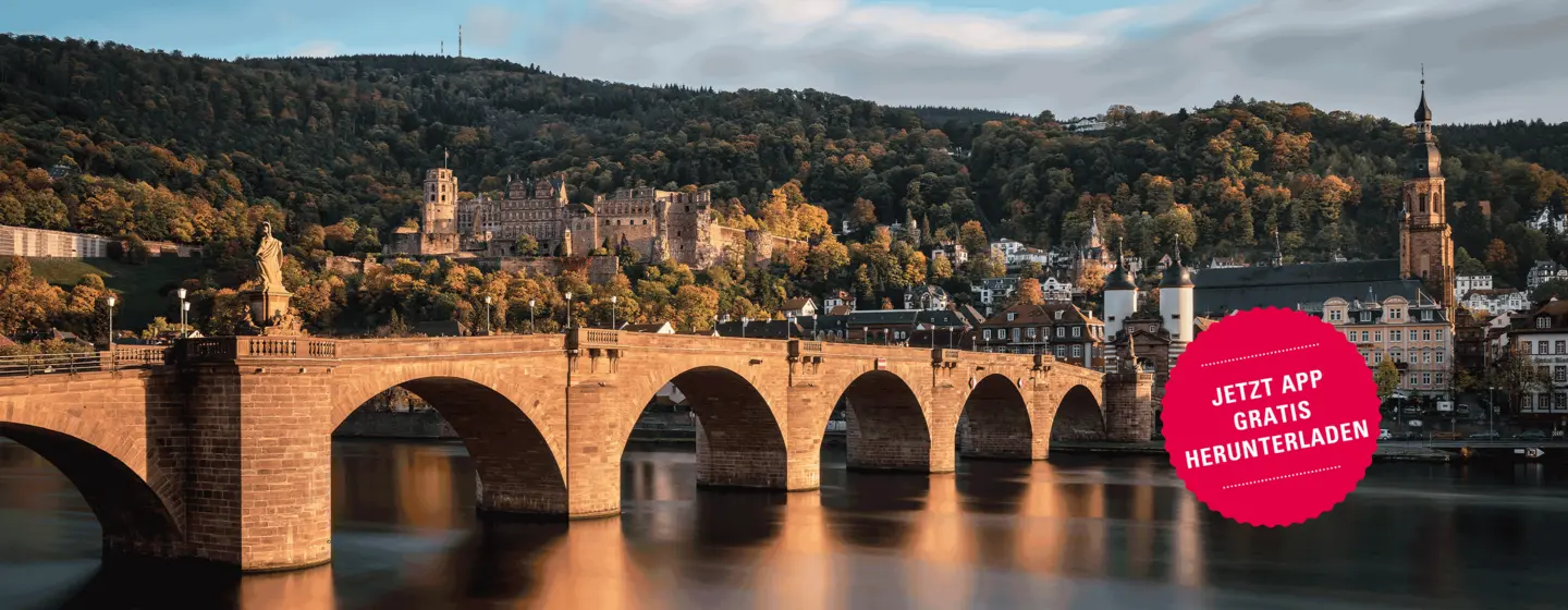 Schloss Heidelberg