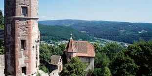 Dilsberg Fortress Ruins