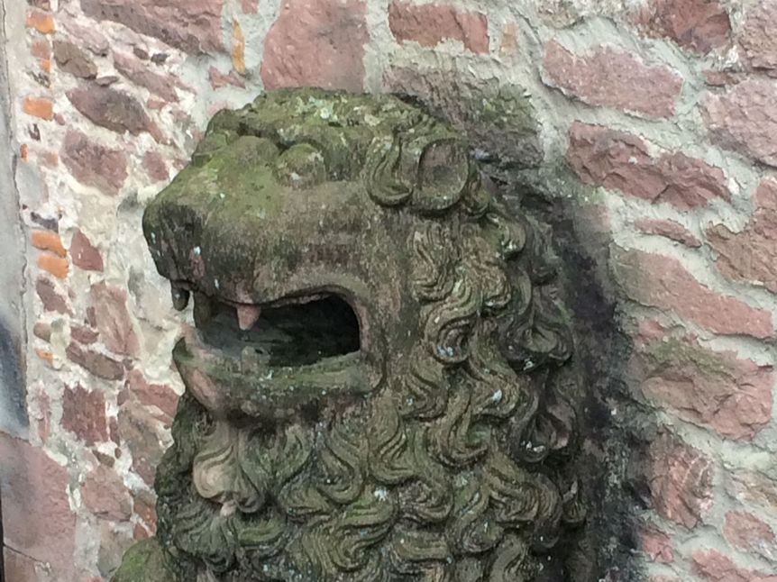 Schloss Heidelberg, Detail, Pfälzer Löwe am Fassbau