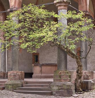 View of the fountain house by the Soldiers' Building at Heidelberg Castle