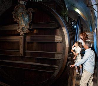 View of the Great Barrel in the Barrel Building at Heidelberg Castle