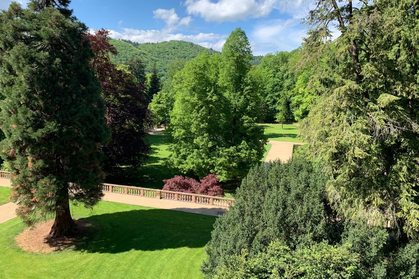 Schloss Heidelberg, Außen, Garten