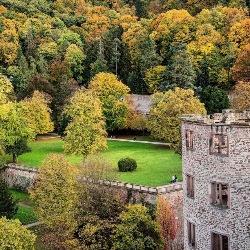 Schloss Heidelberg, Außen, Garten im Herbst