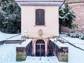 Schloss Heidelberg, Fürstenbrunnen