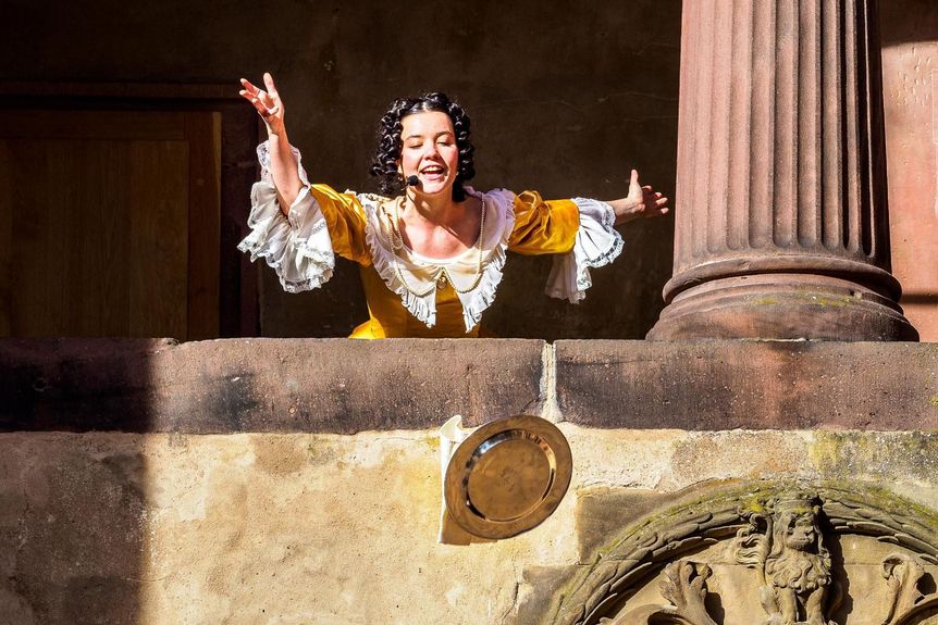 Schloss Heidelberg, Event, Living History