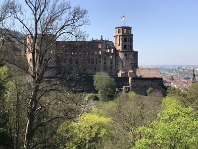 Schloss Heidelberg, Außen