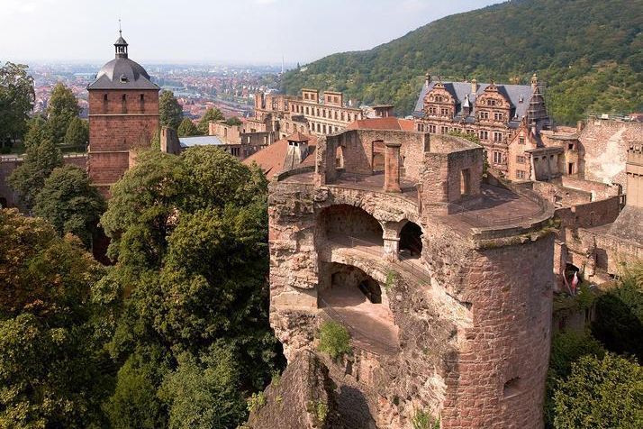 Heidelberg Castle is the largest winter habitat for bats in northern Baden