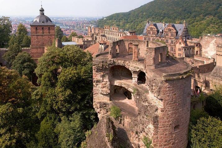 Schloss Heidelberg ist das größte Winterquartier für Fledermäuse in Nordbaden