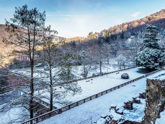 Schloss Heidelberg, Terrassenanlagen des Hortus Palatinus