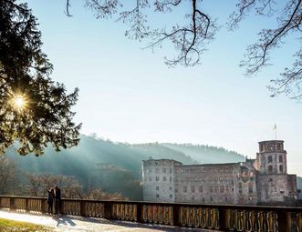 Schloss Heidelberg, Außenansicht