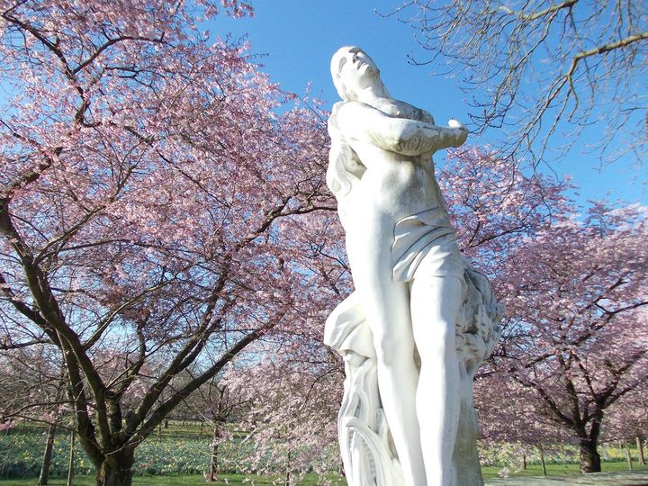 Foto: Staatliche Schlösser und Gärten Baden-Württemberg, Thorsten Kögel Schloss und Schlossgarten Schwetzingen, Garten