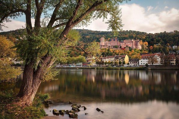 Schloss Heidelberg, Blick auf die Schlossruine