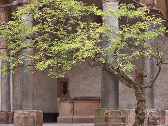 Schloss Heidelberg. Brunnenhalle